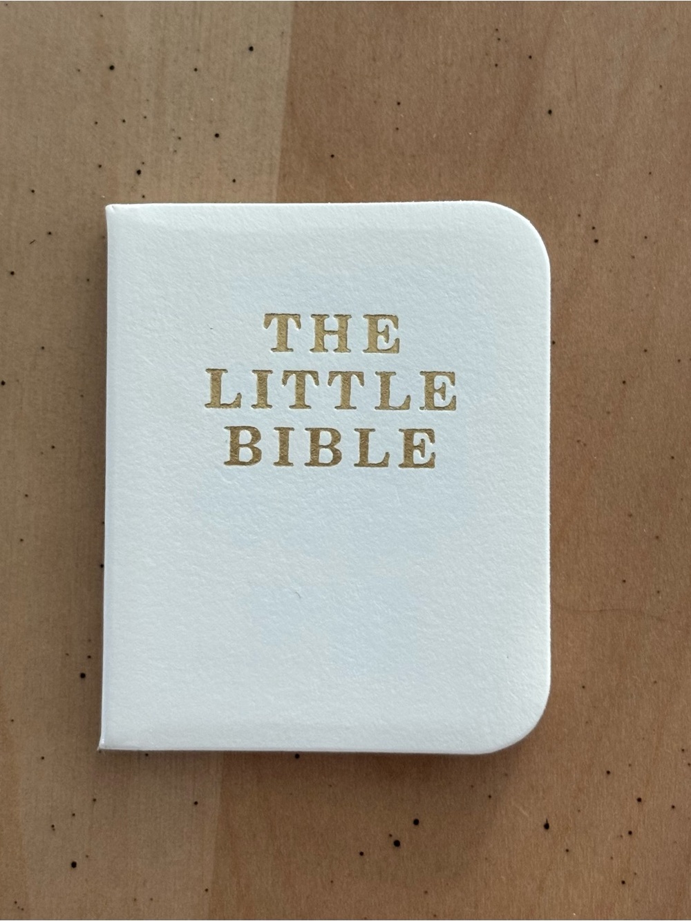 “The Little Bible” from Lee Middleton Original Dolls. Vintage. Excellent Cond